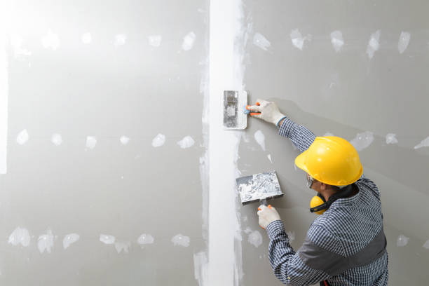 Best Attic Mold Removal  in Center Point, AL